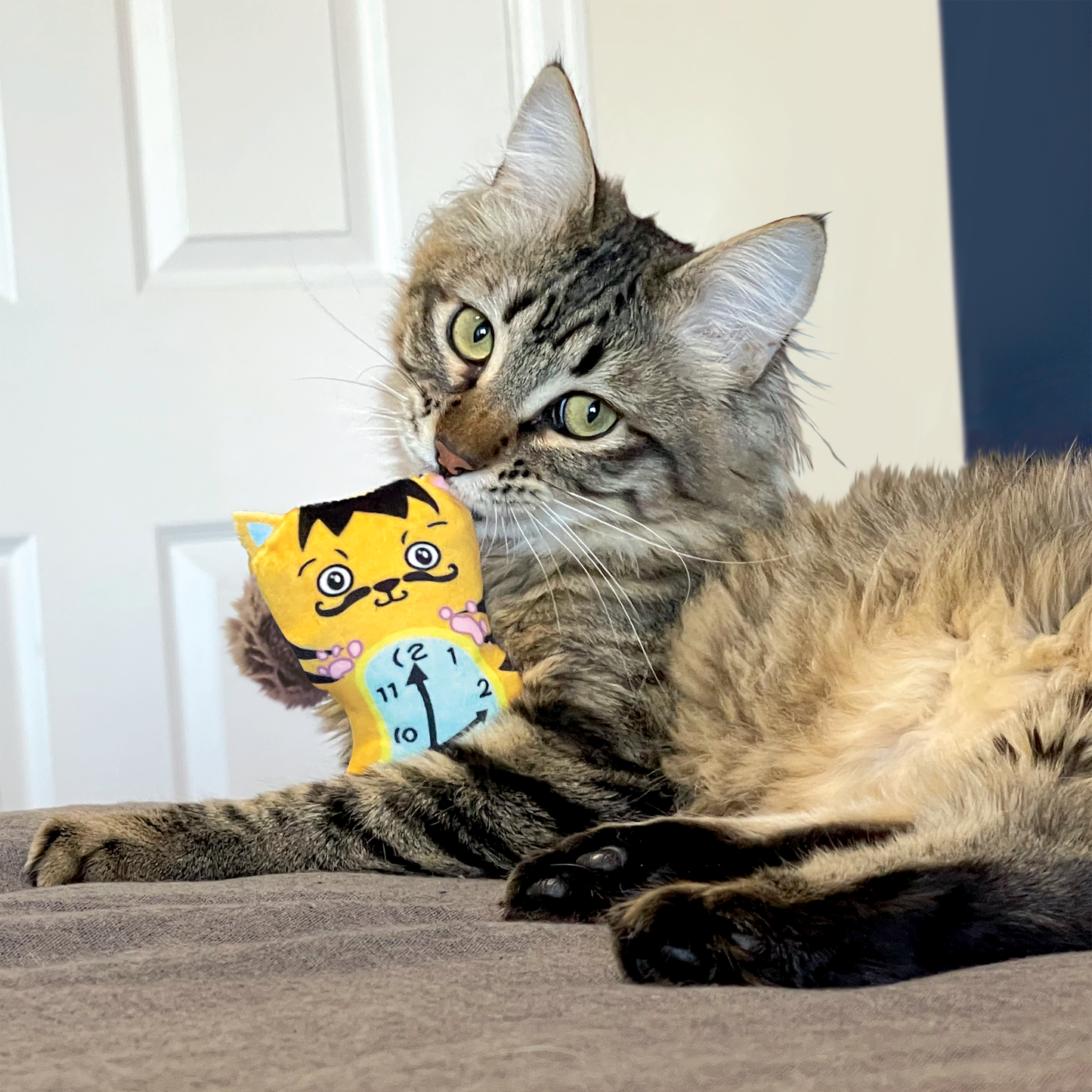 Kong Cat Artz Dali / van Gogh (2pk) - Cat Toy - The Family Pet