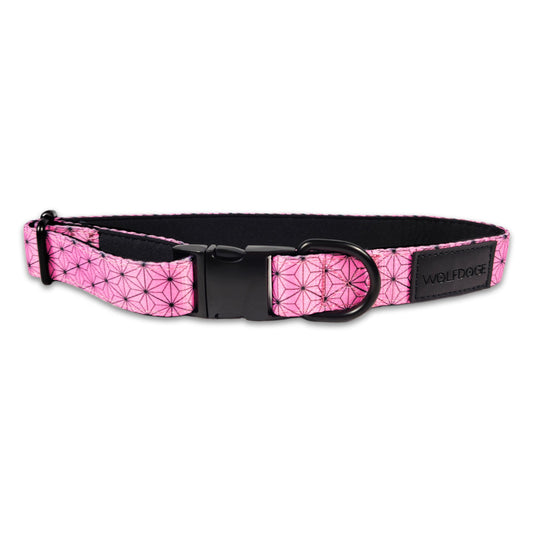 Asanoha Collar - Purrfect Pet Kingdom