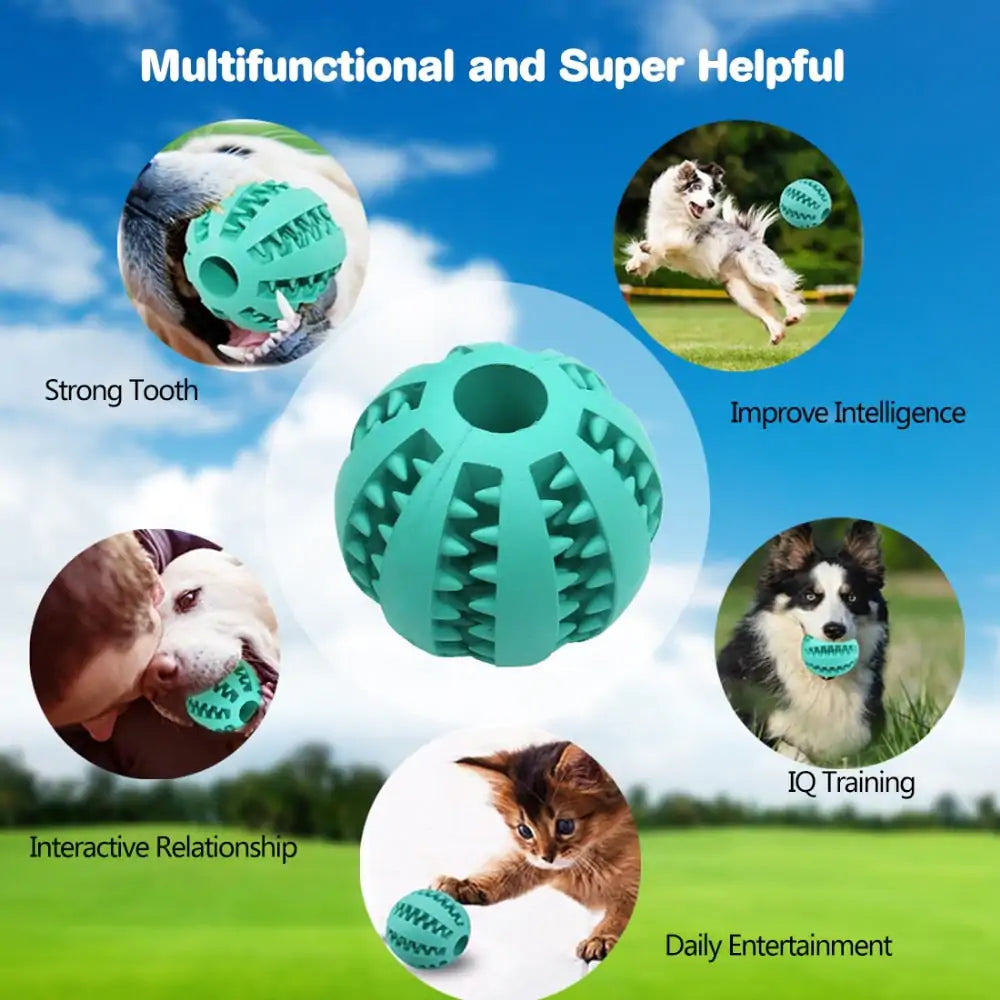 Treat Ball for Cats and Dogs - Mimarta