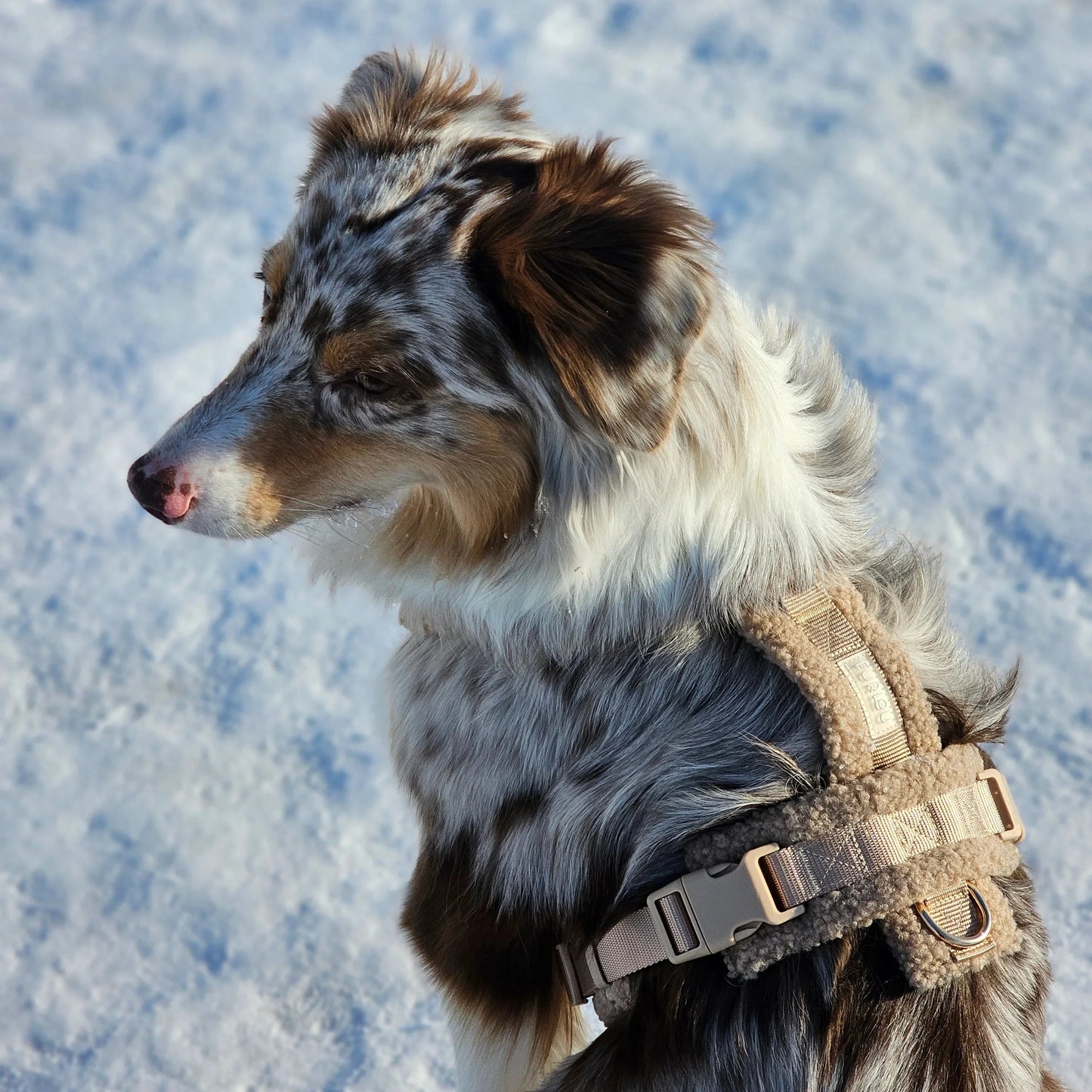 Dog Harnesses 'Sand' Sherpa Dog Harness Premium Pet Supply