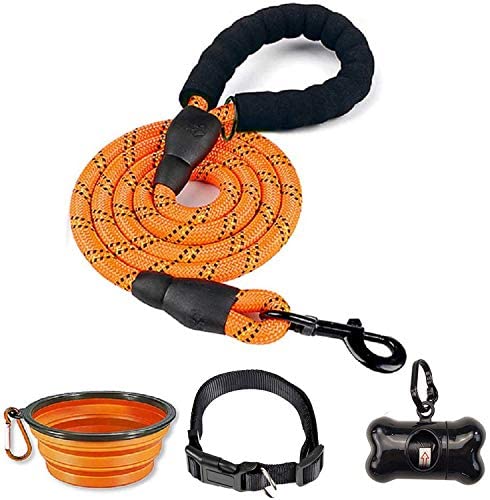 Purrfect Pet Kingdom 6 FT Dog Leash for Large and Medium Dogs-Orange Set of 5 (Default Title) - Premium Pet Products