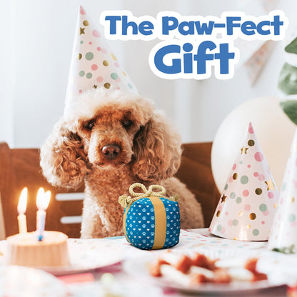 Durable Tug Rope Interactive Dog Toy for Long Lasting Play