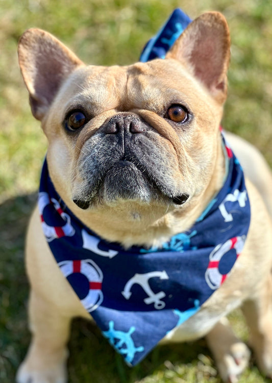 Nautical Dog Bandana New Arrivals - Purrfect Pet Kingdom
