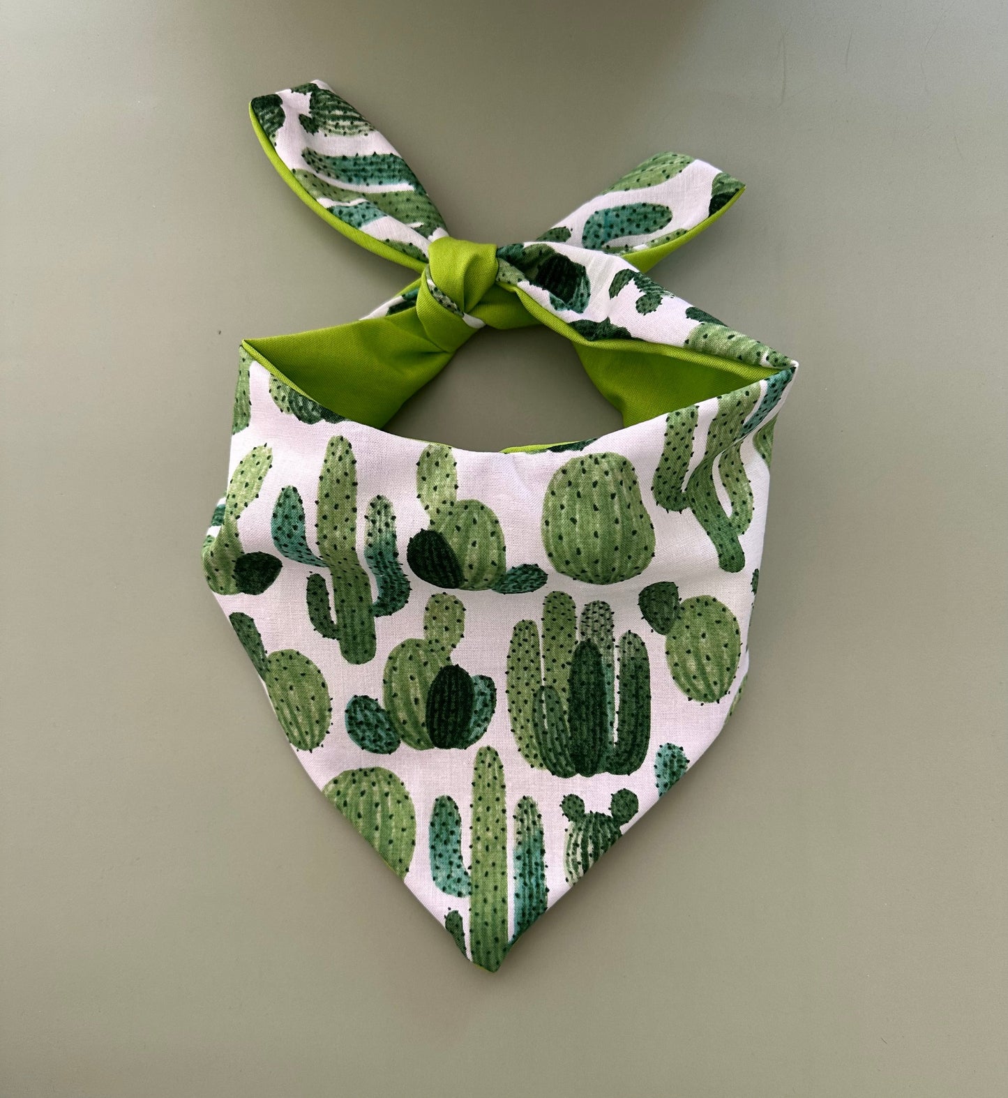 Cactus Dog Bandana - Purrfect Pet Kingdom
