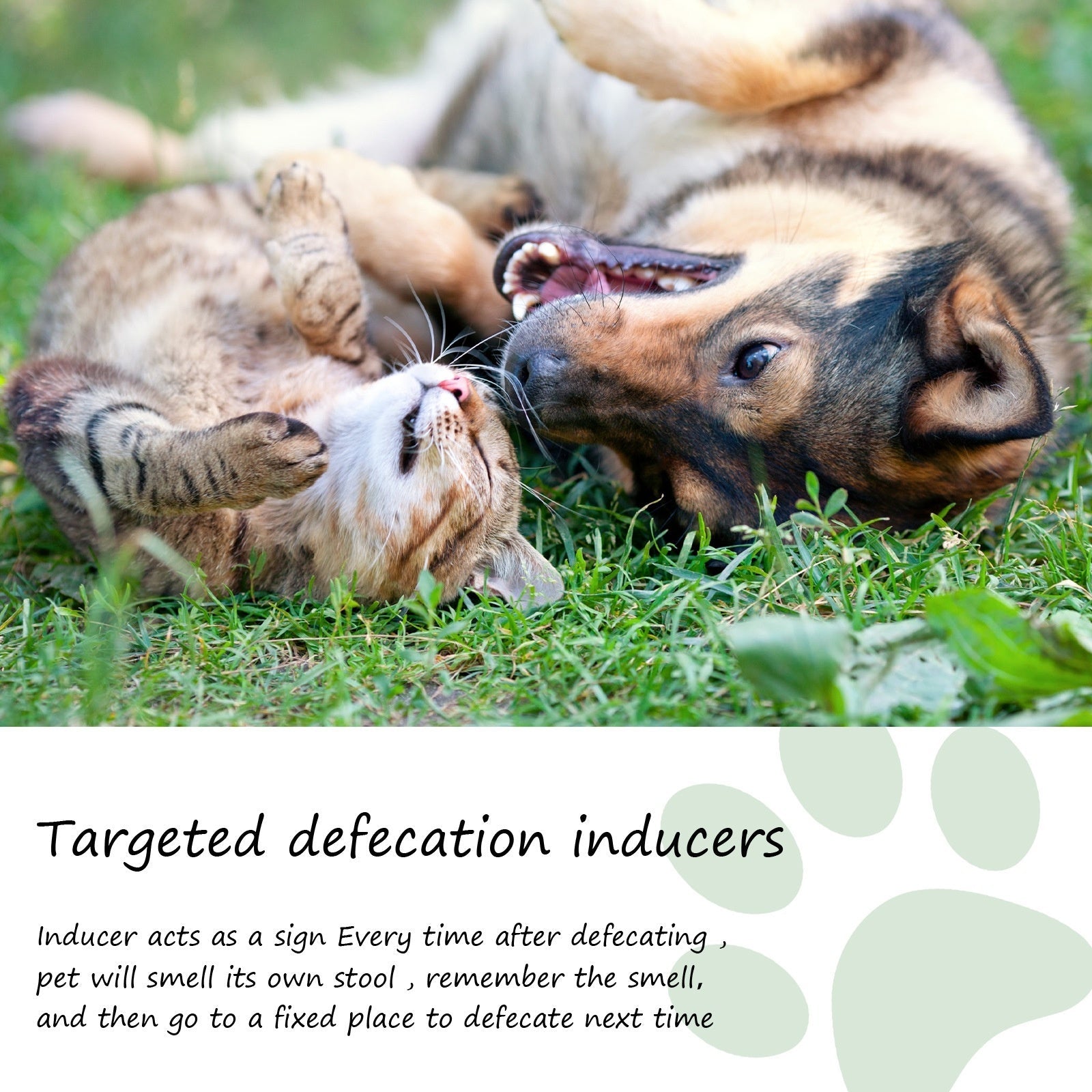 Pet Location Training Agent for Toilet Induction and Waste Positioning - Purrfect Pet Kingdom