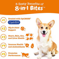 Pet Vitamin Health Product: Multi-Functional Nutritional