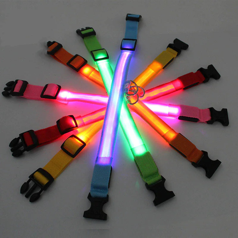 Royal Luminous Safety Pet Collar Adjustable LED Night Visibility 💡👑