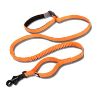 Pet dog leash with elastic cushioning suitable for outdoor