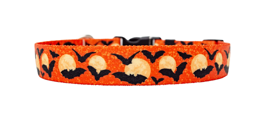 Moon Orange with Bats Dog Collar