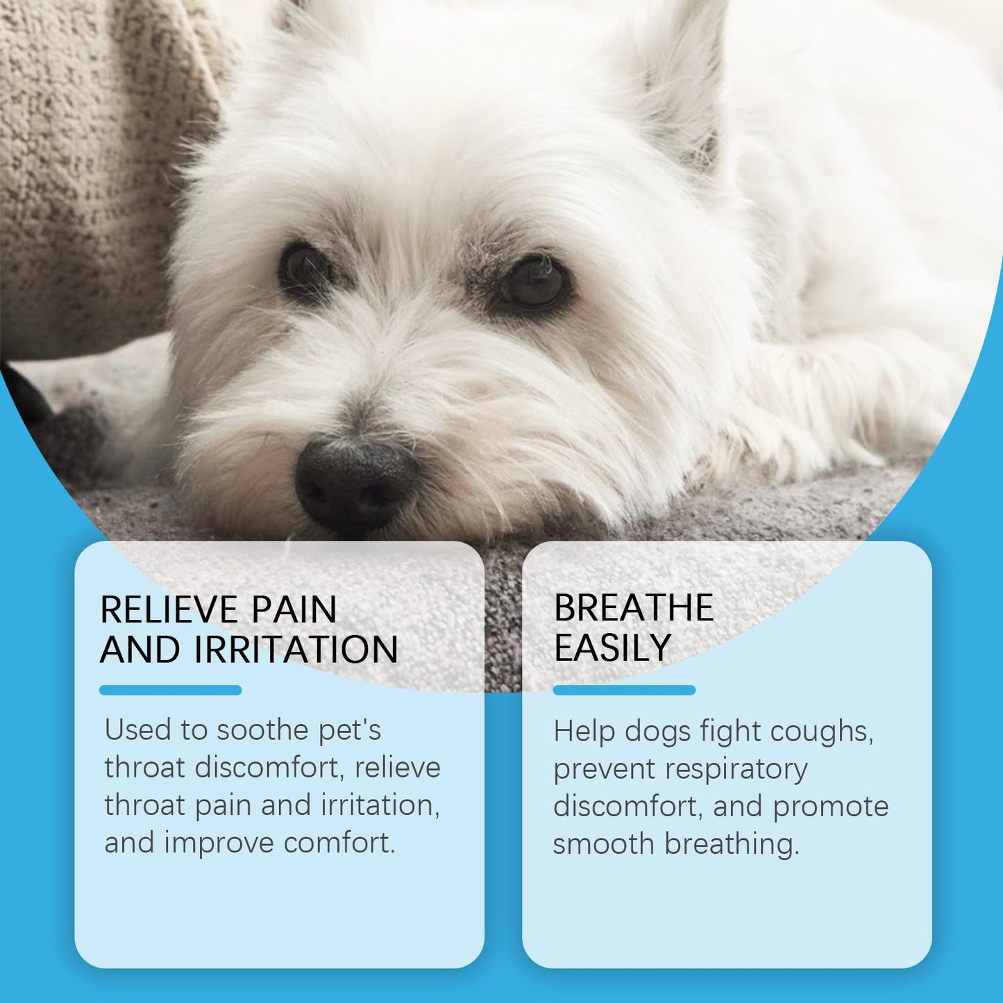 Dog Syrup, Pet Dogs Absorb Nutrition Care Health Special Maintenance Supplement Syrup