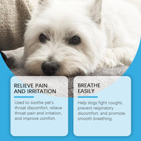 Dog Syrup, Pet Dogs Absorb Nutrition Care Health Special