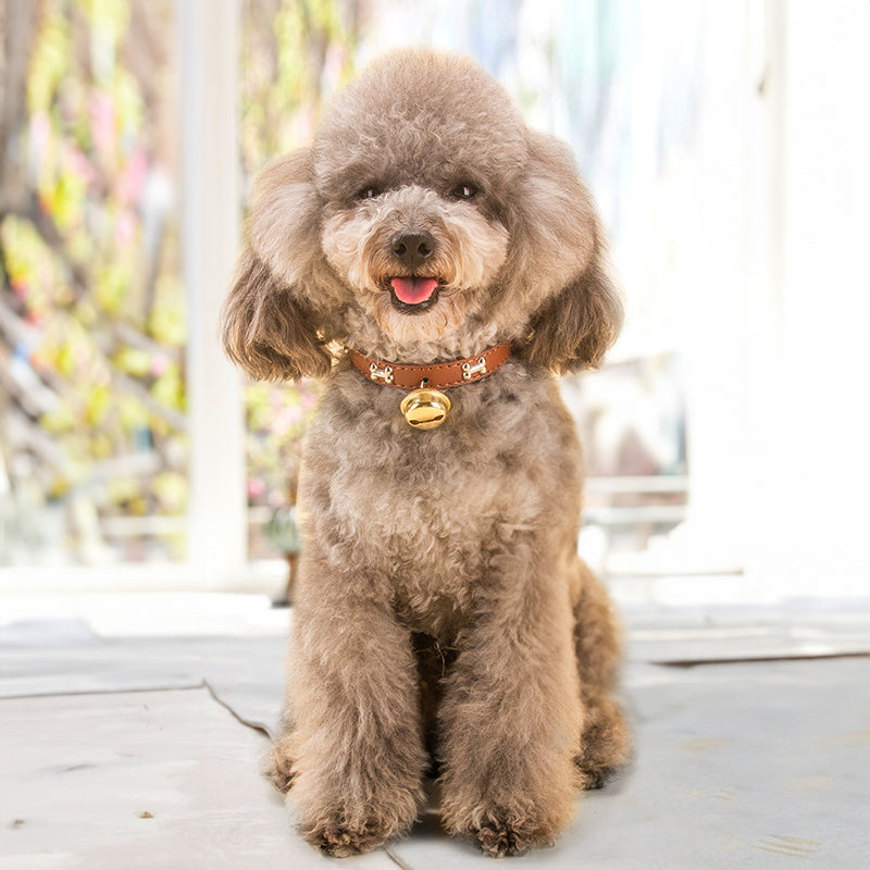 Claw Print Bone Alloy Bells for Pet Collars - Supplies for Dogs & Cats