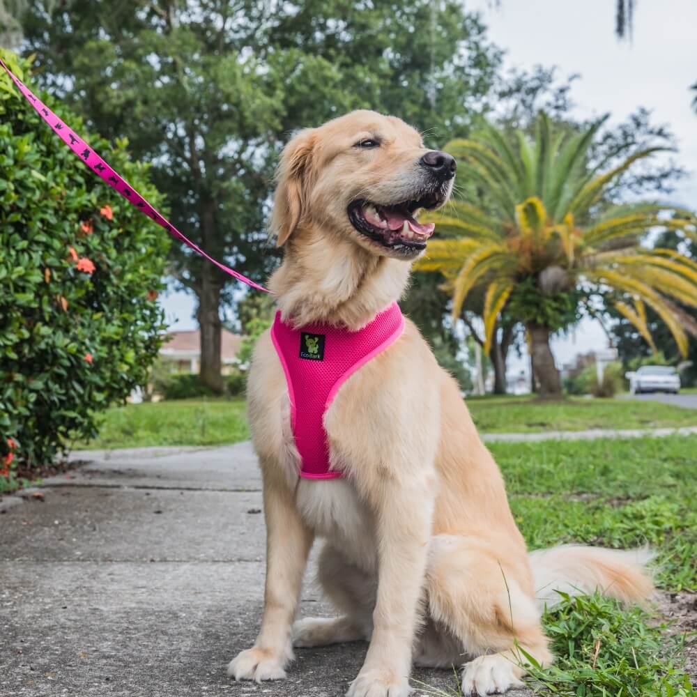 Dog Leash Pink Leash by EcoBark Padded Comfort Grip Leash - gallery product image for dog leash