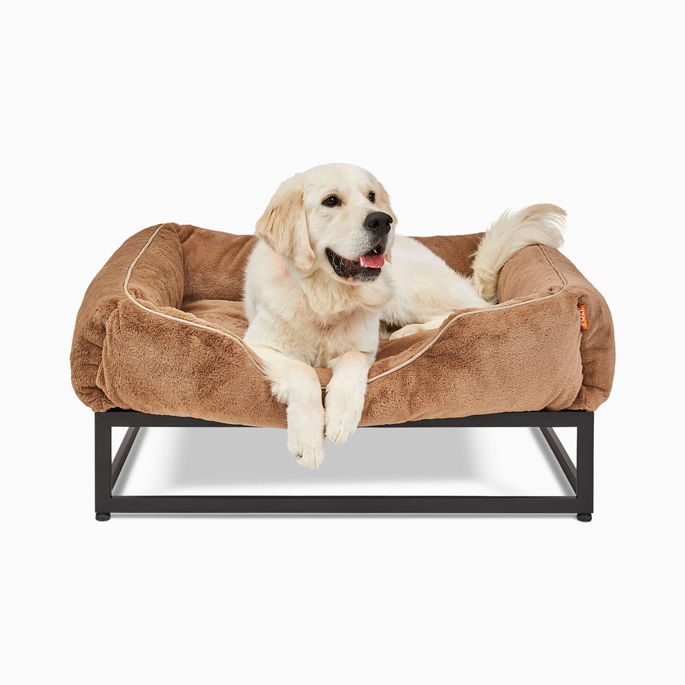 The FÜZI Elevated Dog Bed