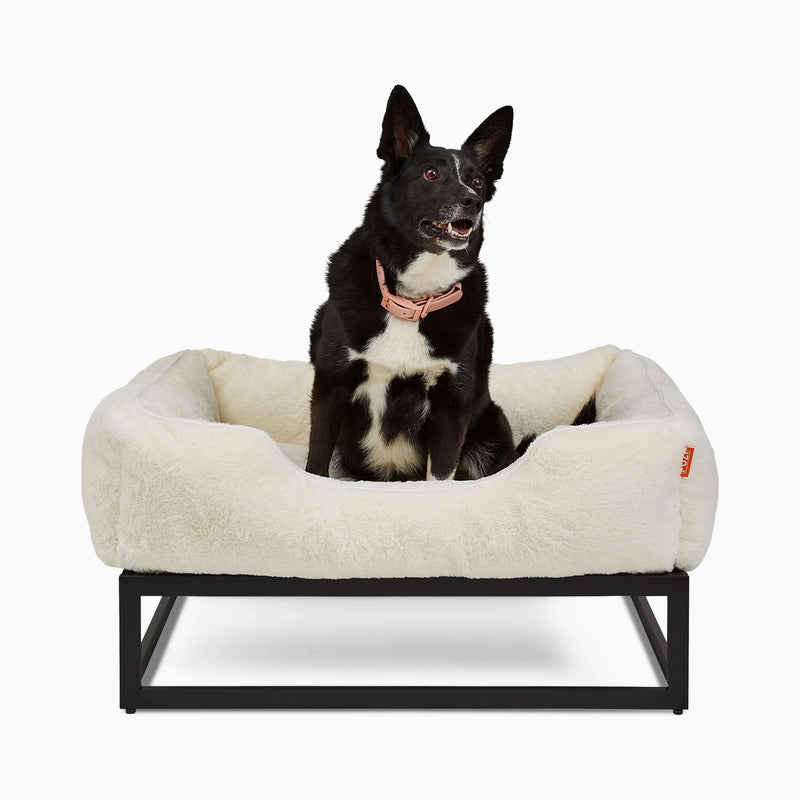 The FÜZI Elevated Dog Bed