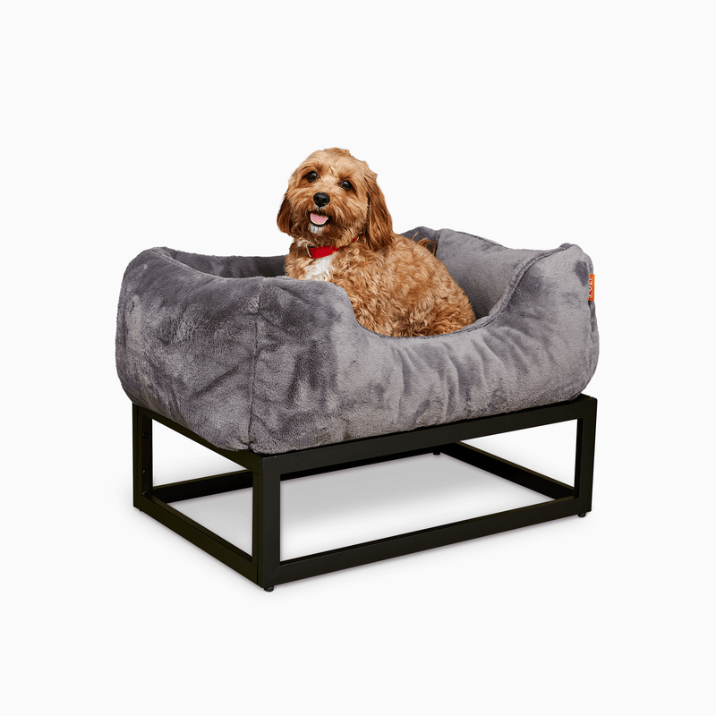 The FÜZI Elevated Dog Bed