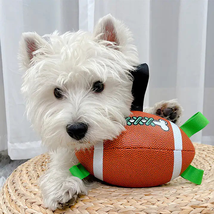 Dog Football Toys - Mimarta