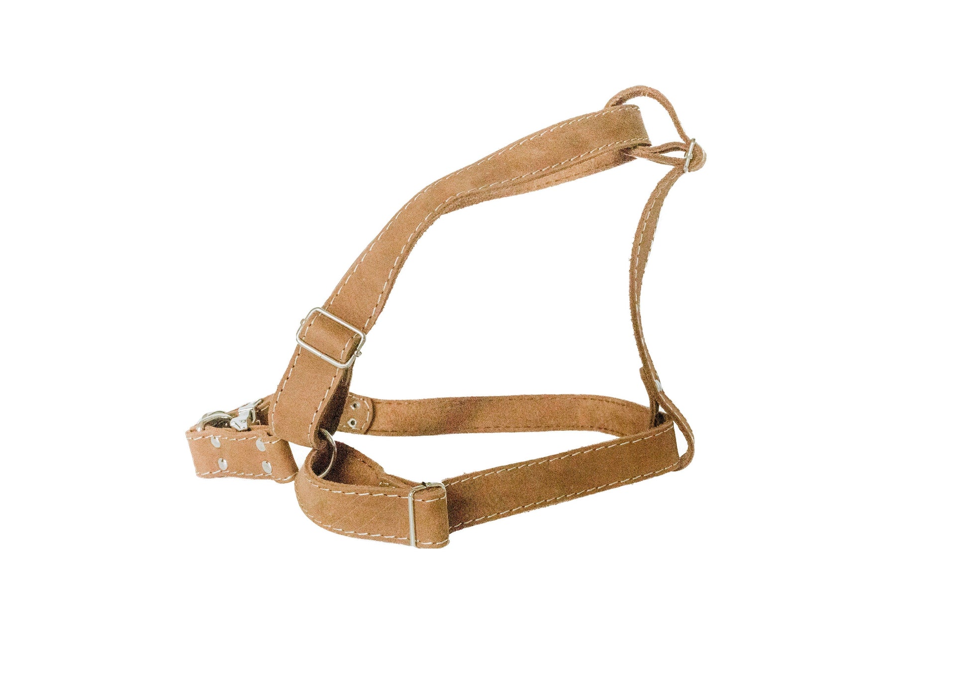 Dog Collar Step In Leather Harness for Daily Use for Comfort - lifestyle product image for dog collar