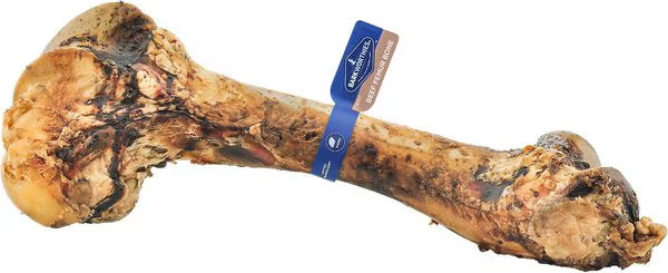 Barkworthies Beef Femur Bone Natural Long Lasting Dog Treat