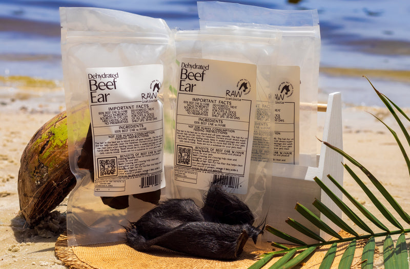 Dehydrated Beef Ear With Hair For Cats & Dogs All-natural Raw Instincts Florida - Purrfect Pet Kingdom