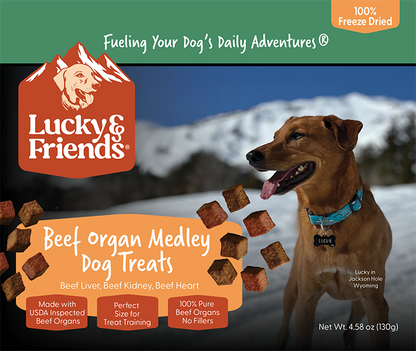 Lucky & Friends Beef Liver Dog Treat - Lucky & Friends