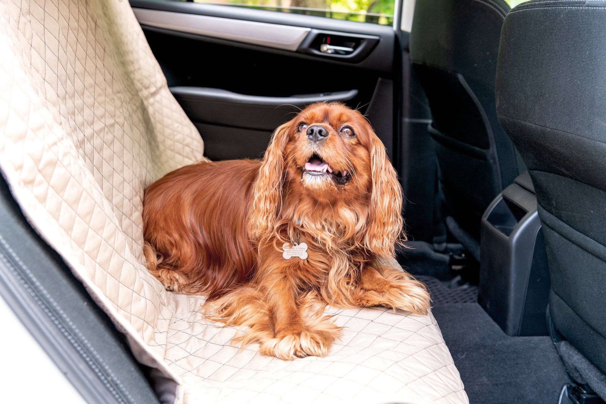 Pet Supply TuffutLuxx Vehicle Protectors for Travel Essentia - close up product image for pet supply