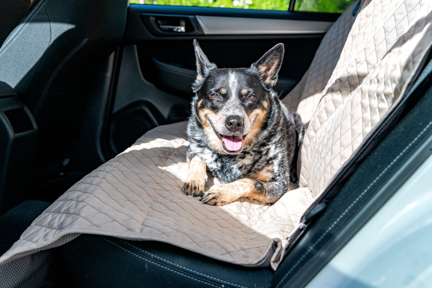 Pet Supply TuffutLuxx Vehicle Protectors for Travel Essentia - lifestyle product image for pet supply