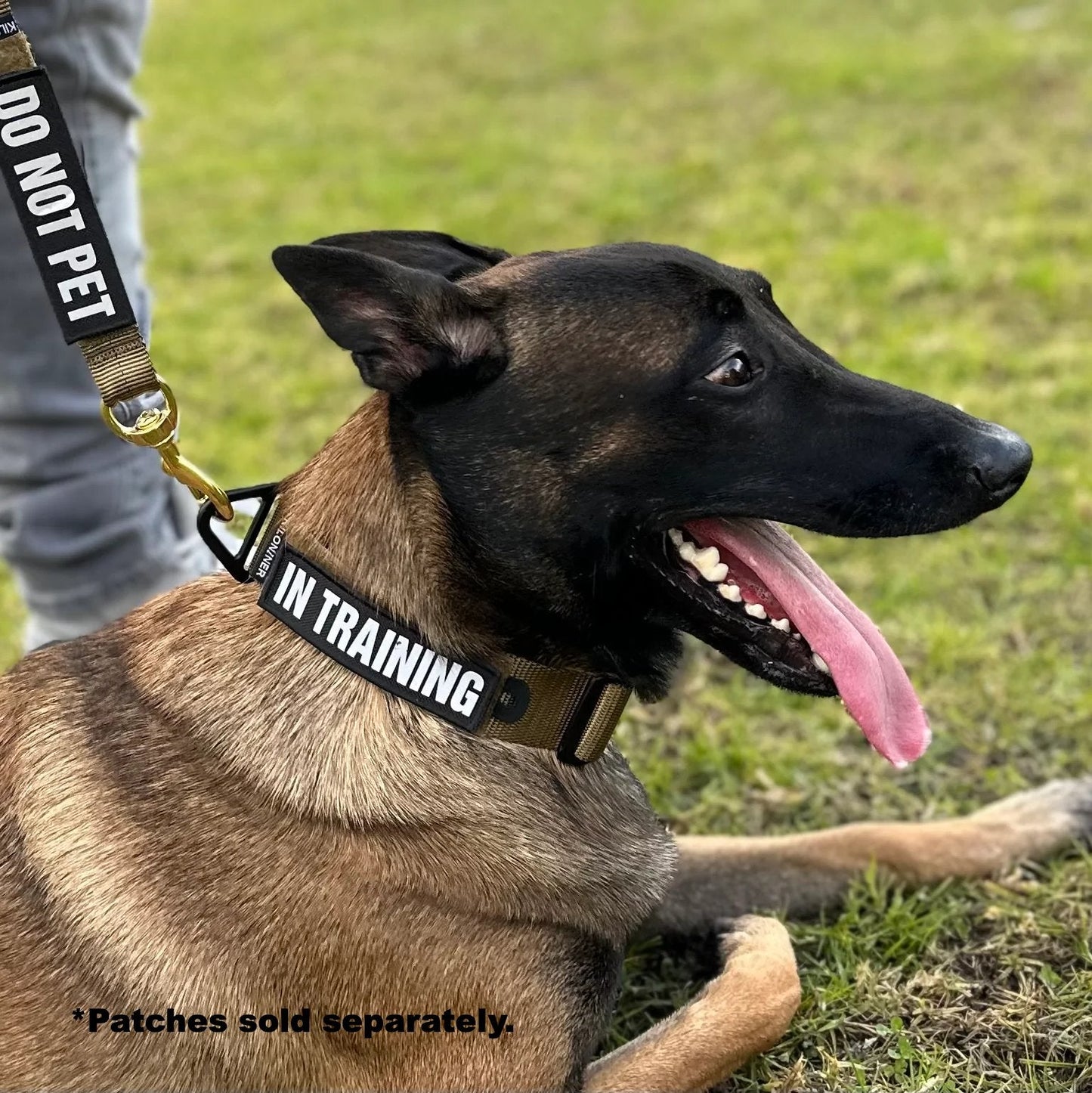 K9R - BCH Big Dog Collar Heavy Duty