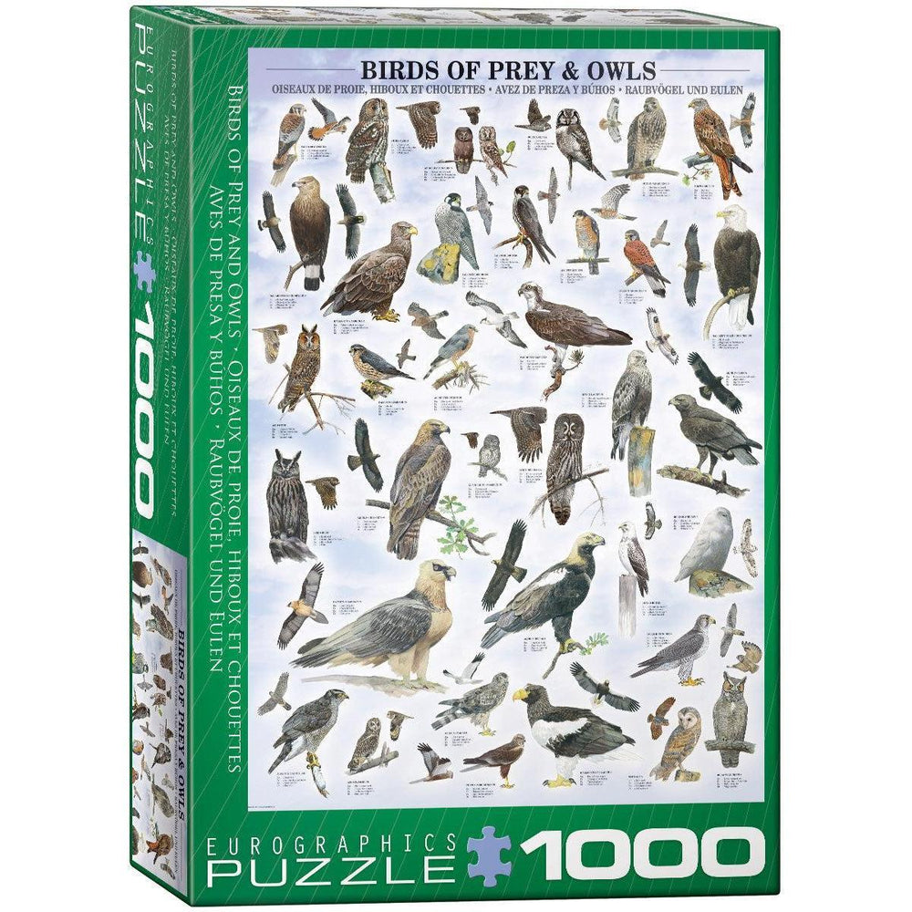 Birds of Prey & Owls 1000 Piece Jigsaw Puzzle Eurographics