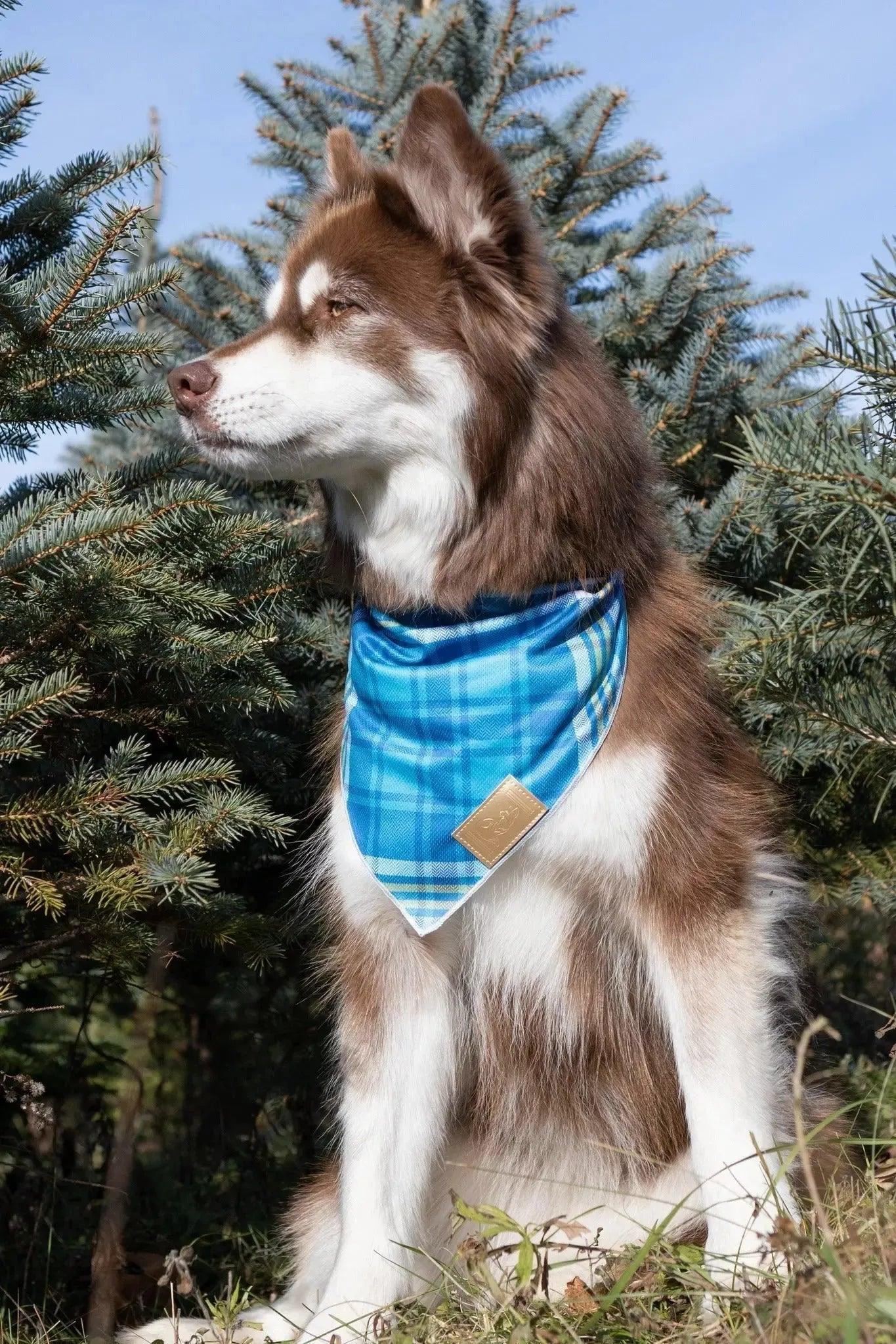 Blue Spruce Plaid Dog Bandana - Purrfect Pet Kingdom
