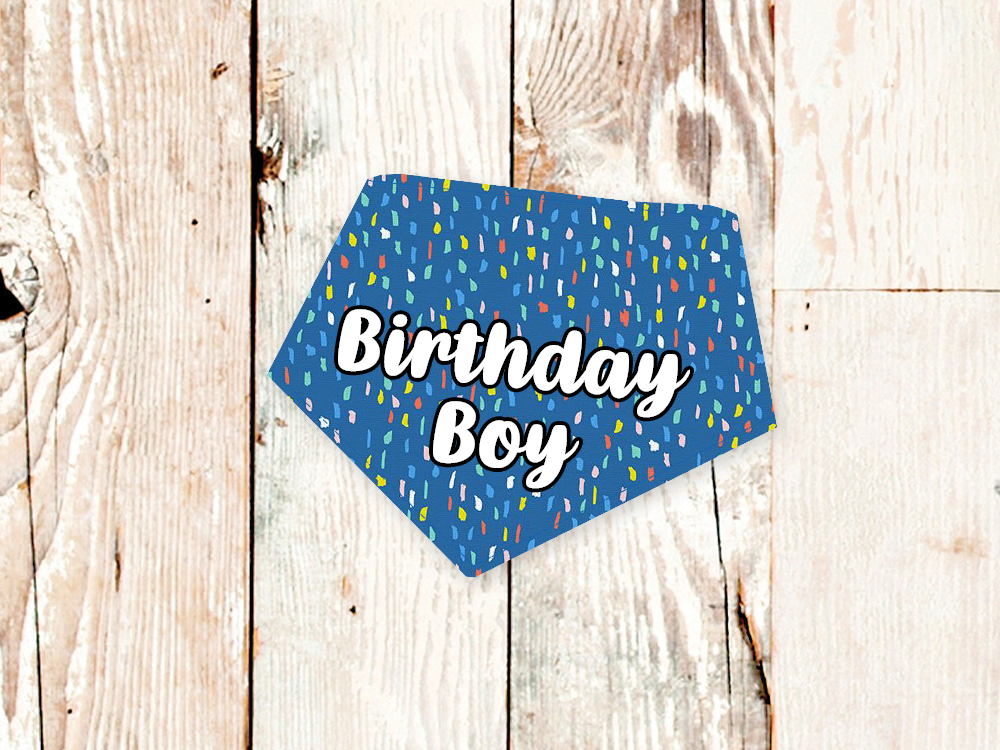 Birthday Boy Blue Party Dog Bandana