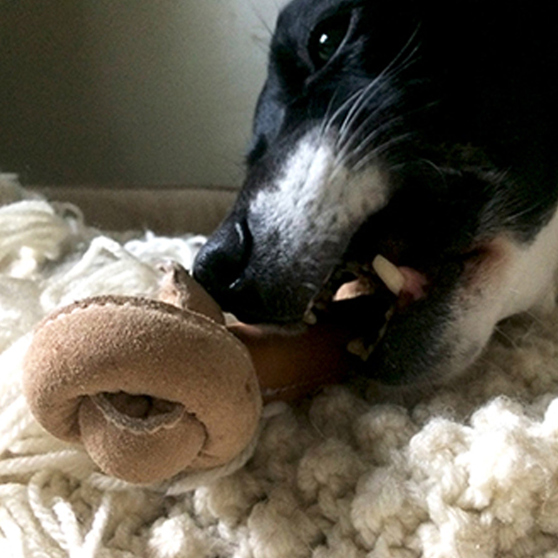 Dog Treats Huggle-Hide Natural Leather Bone Toy Pack Essenti - gallery product image for dog treats