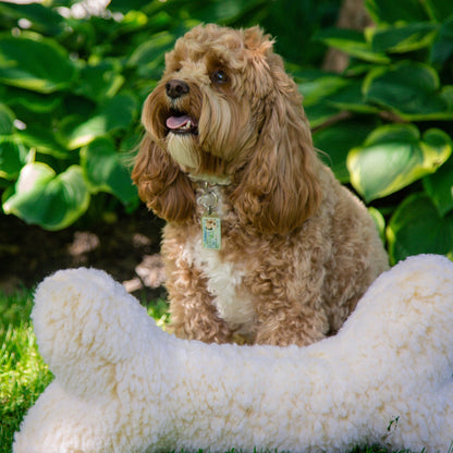 Durable Fleece HuggleBone Interactive Dog Toy for Chewing