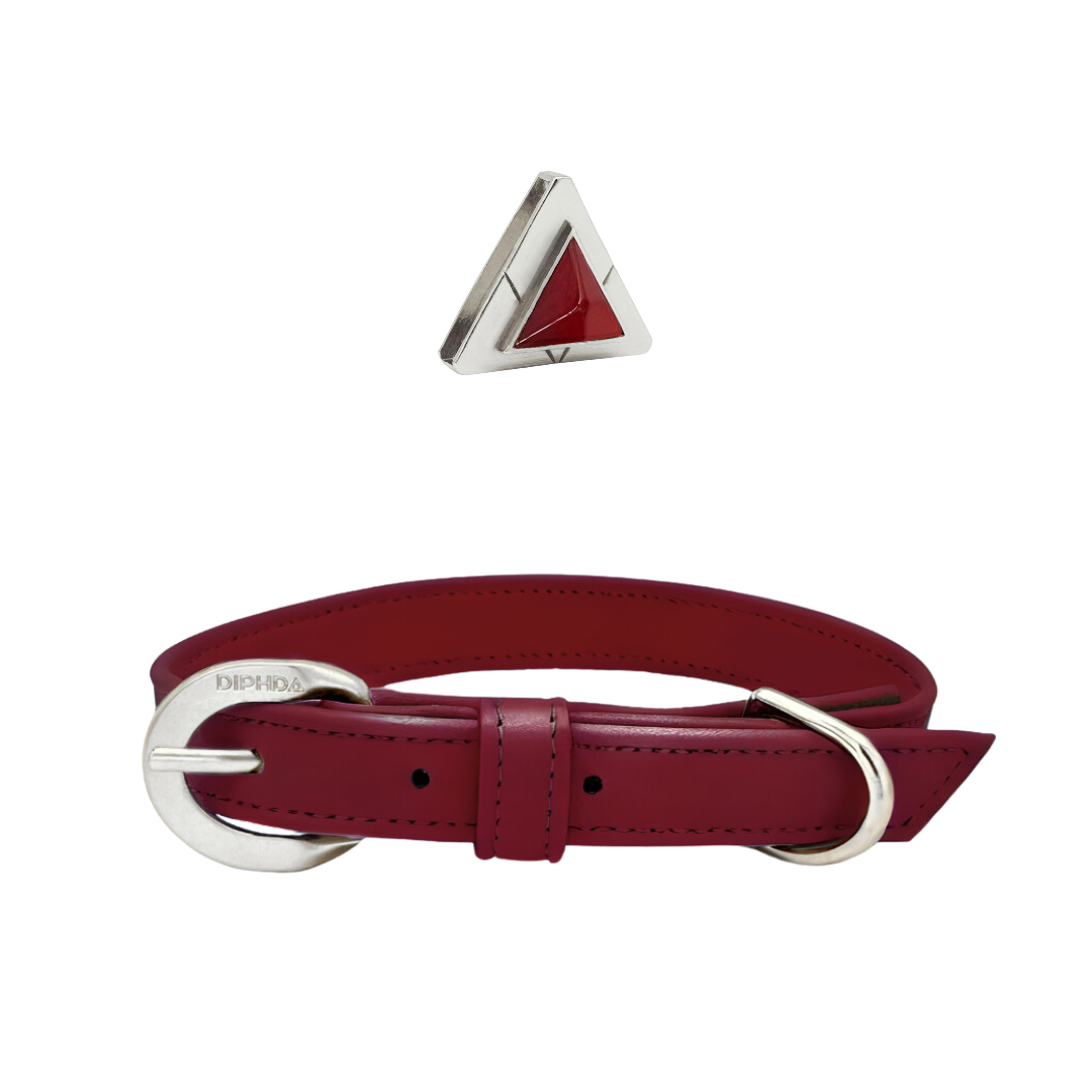Bordeaux Carnelian Collar & Charm Set - Purrfect Pet Kingdom