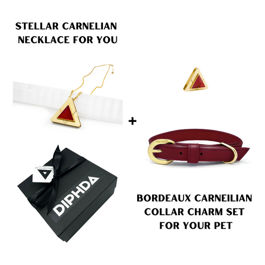 Bordeaux Carnelian Match Your Pet Gift Box Set