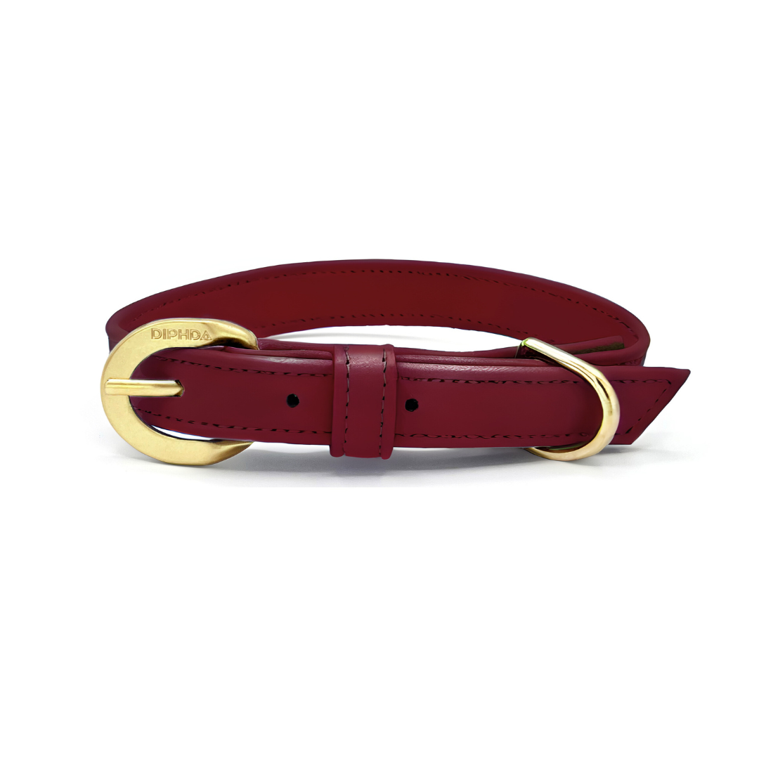 Bordeaux Red Cactus Collar - Purrfect Pet Kingdom