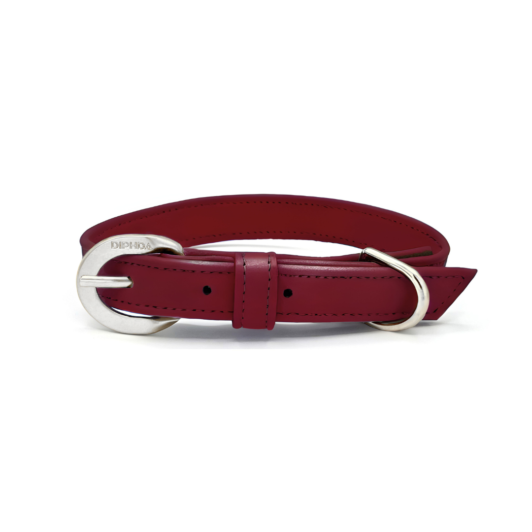 Bordeaux Red Cactus Collar - Purrfect Pet Kingdom