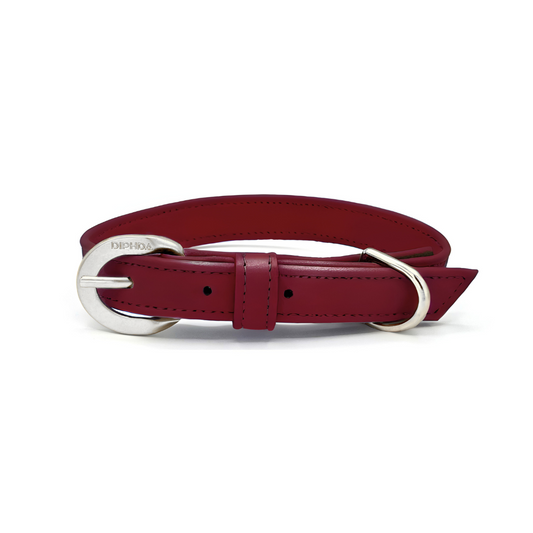 Bordeaux Red Cactus Collar - Purrfect Pet Kingdom