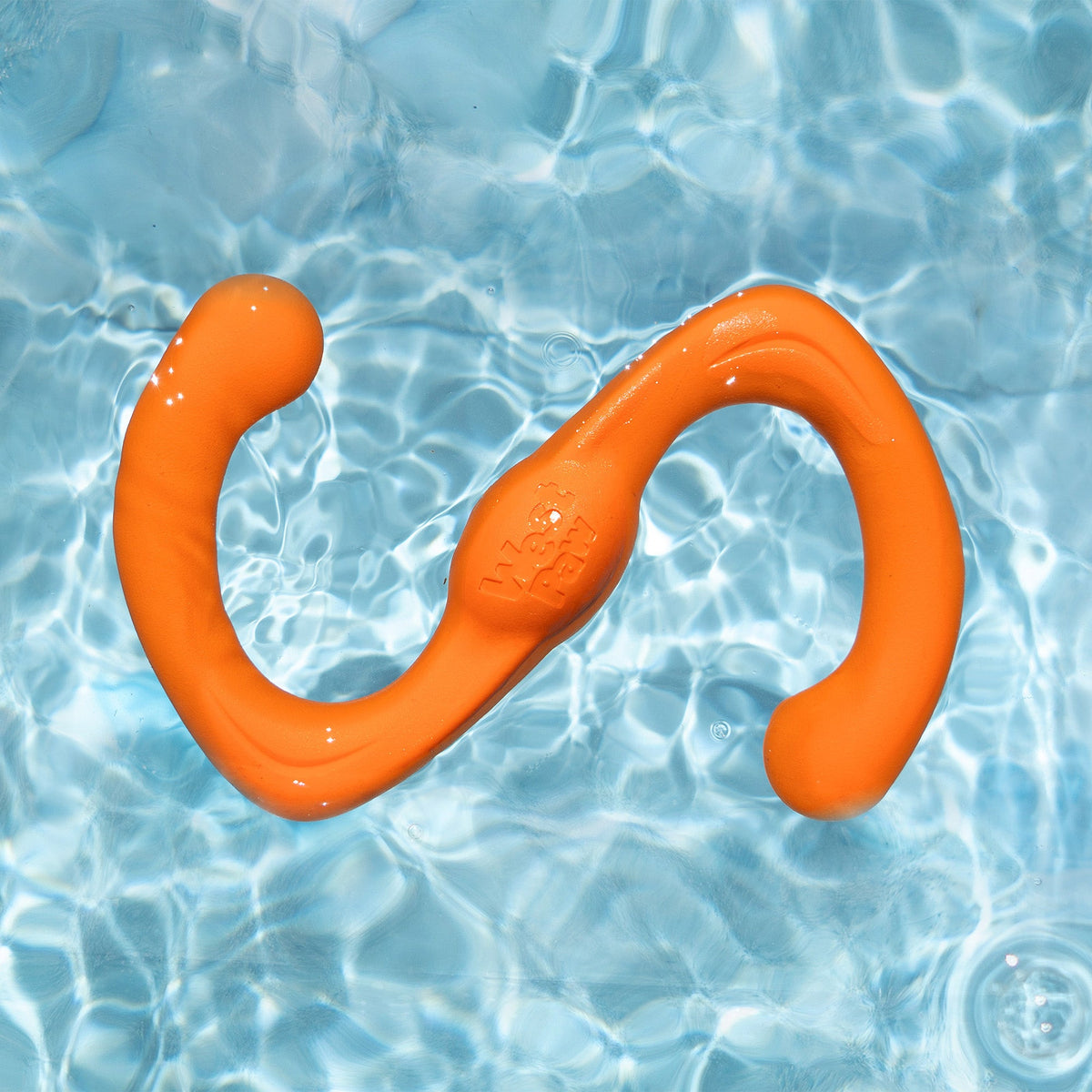 Bumi Interactive Dog Toy Durable Play Premium - lifestyle view