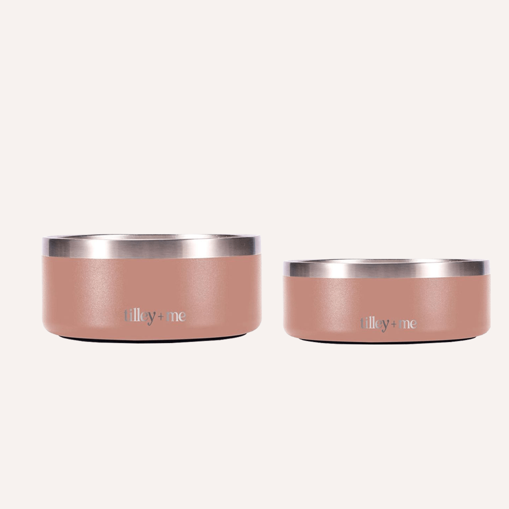 Tilley + Me Stainless Steel dog Bowl set in rose color for stylish pet feeding