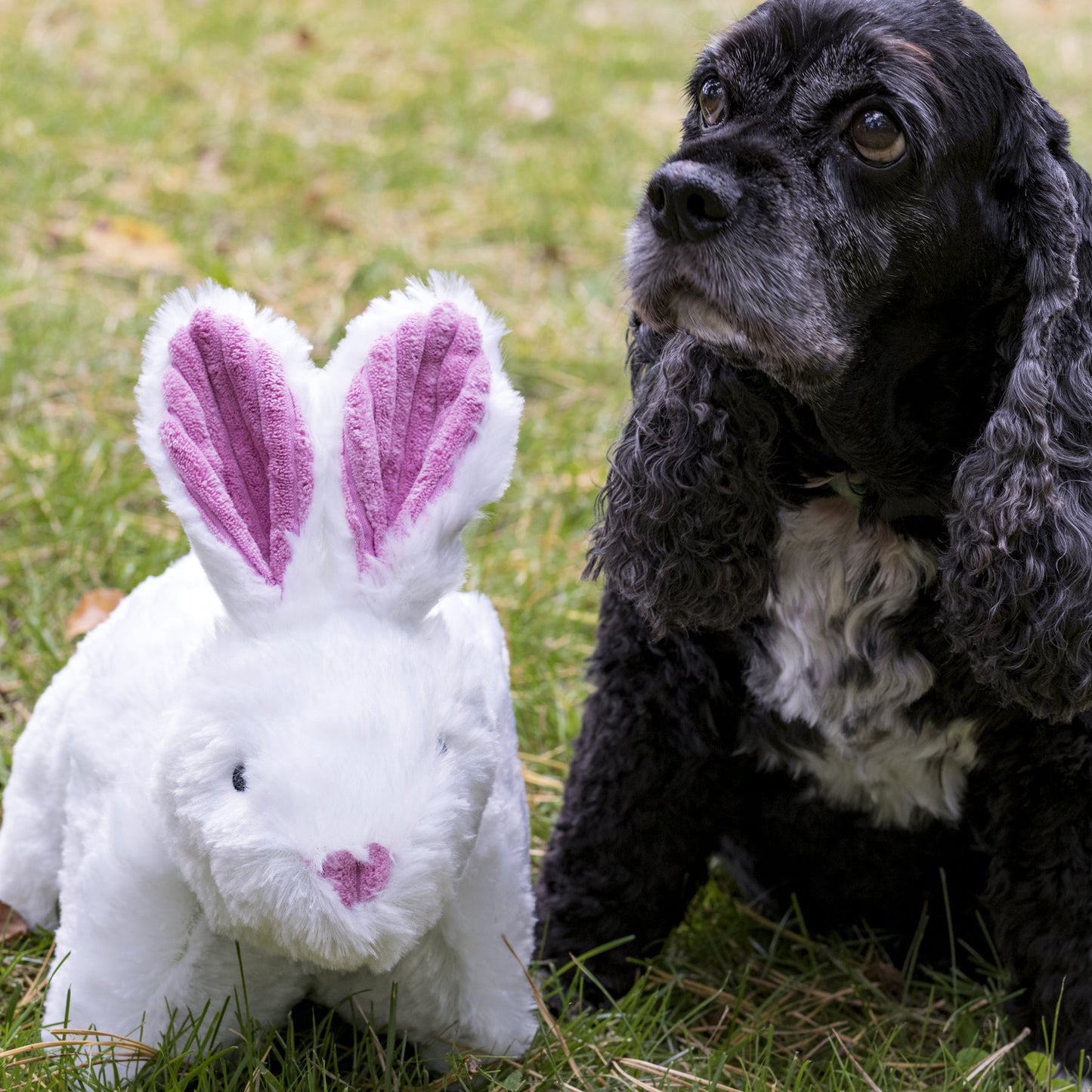 Dog Toy Squooshie Bunny Plush Toy for Daily Use for Comfort - close up product image for dog toy