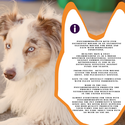 Piccardmeds4pets Keto-Itch Plus Antiseptic Mousse for Cats &