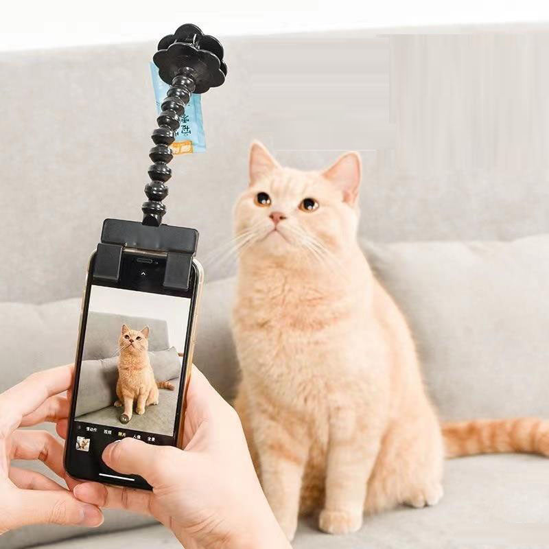 Pet Photography Teddy Camera Toy Phone Camera Stand Selfie Clip Supplies - Purrfect Pet Kingdom