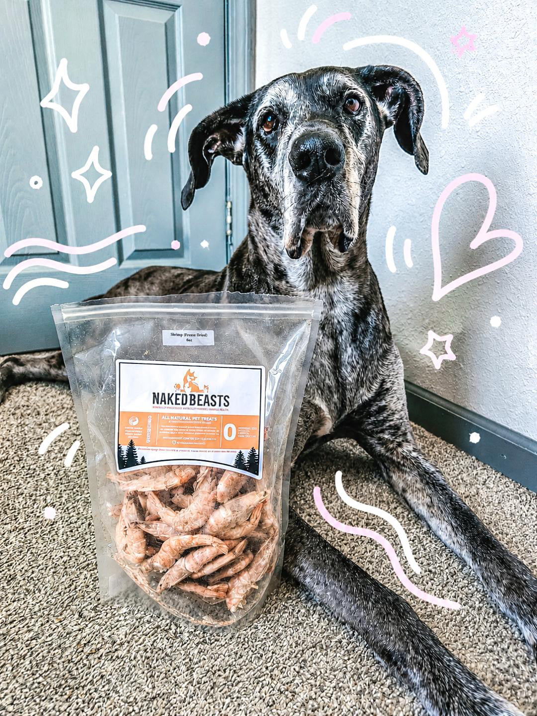 Purrfect Kingdom™ - Natural Shrimp Reward Training Treat