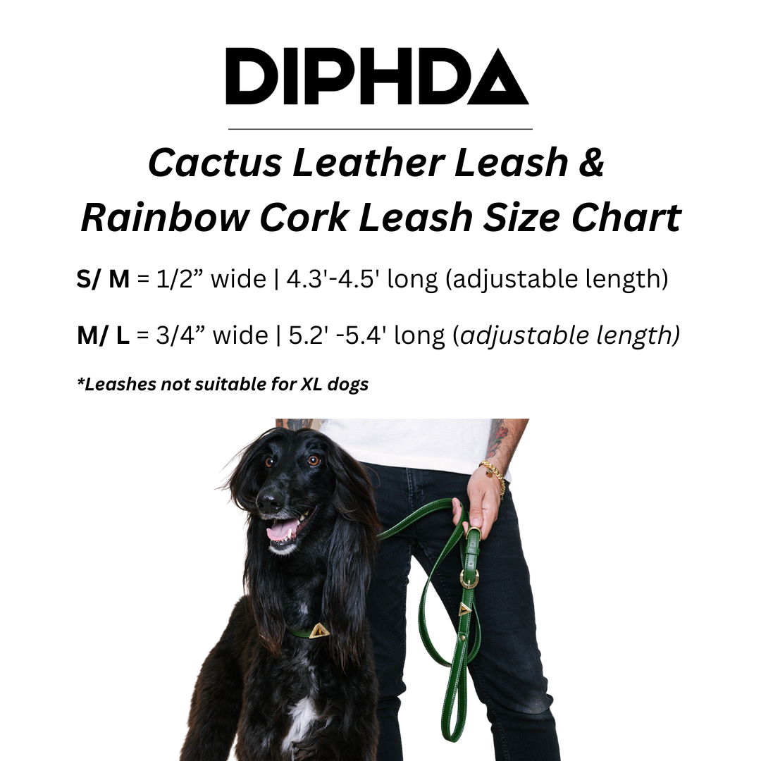 Champagne Gold Cactus Leash 🐾 - Purrfect Pet Kingdom