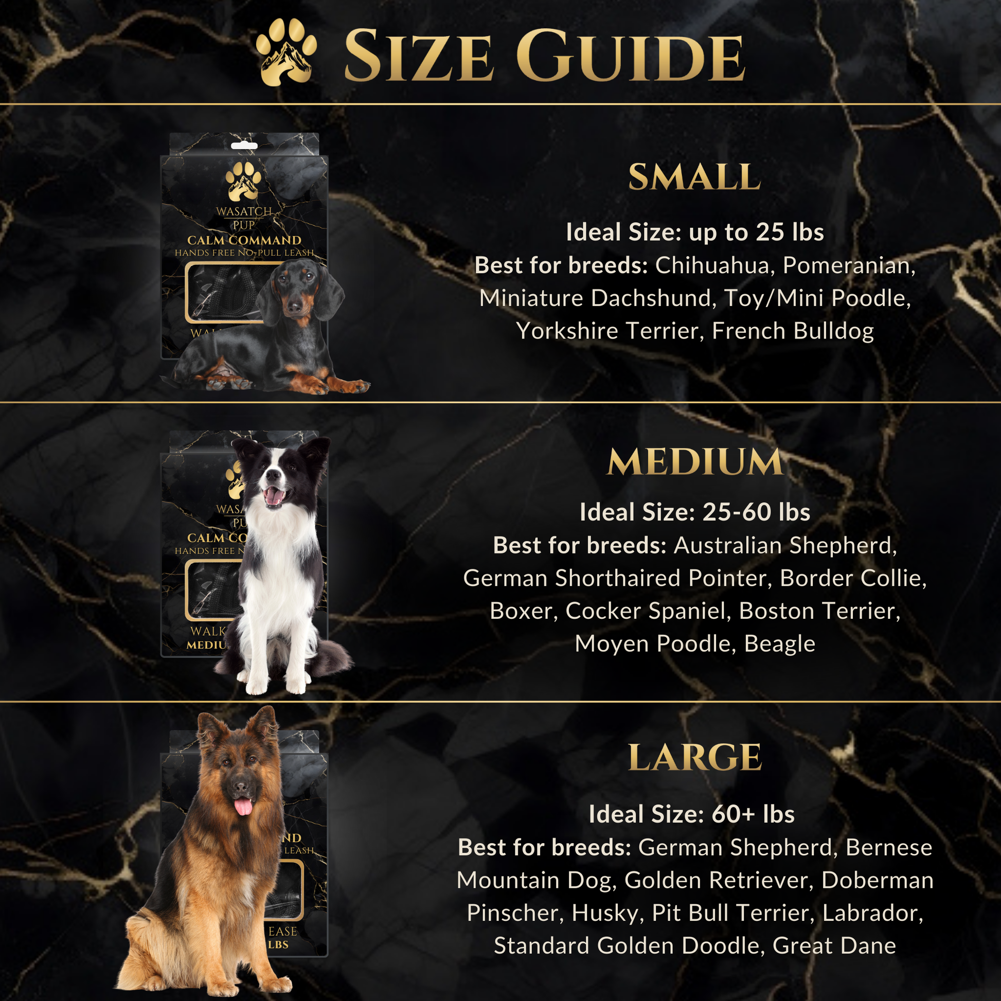 Calm Command: Hands Free No - Pull Leash - Wasatch Pup