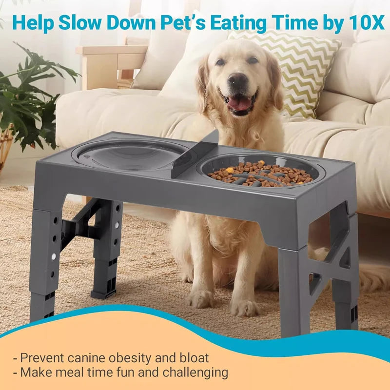 Elevated Dog Feeder with Adjustable Raised Stand, Slow Food Bowl, Water Feeders for Large and Medium Dogs - Purrfect Pet Kingdom