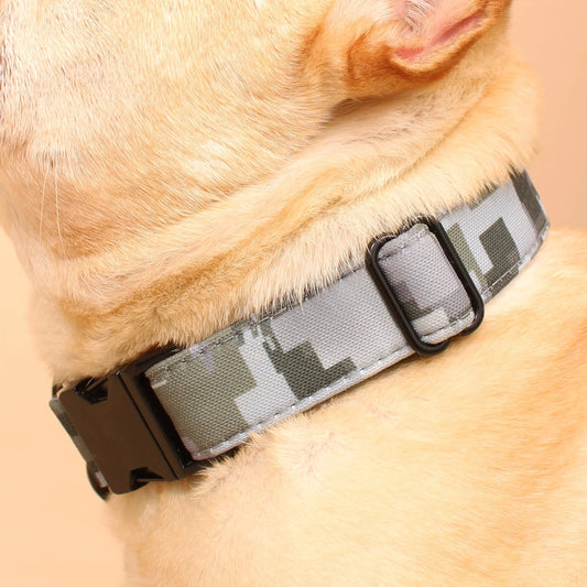 Recycled Dog Collar Chew-Resistant 🐾 - Purrfect Pet Kingdom