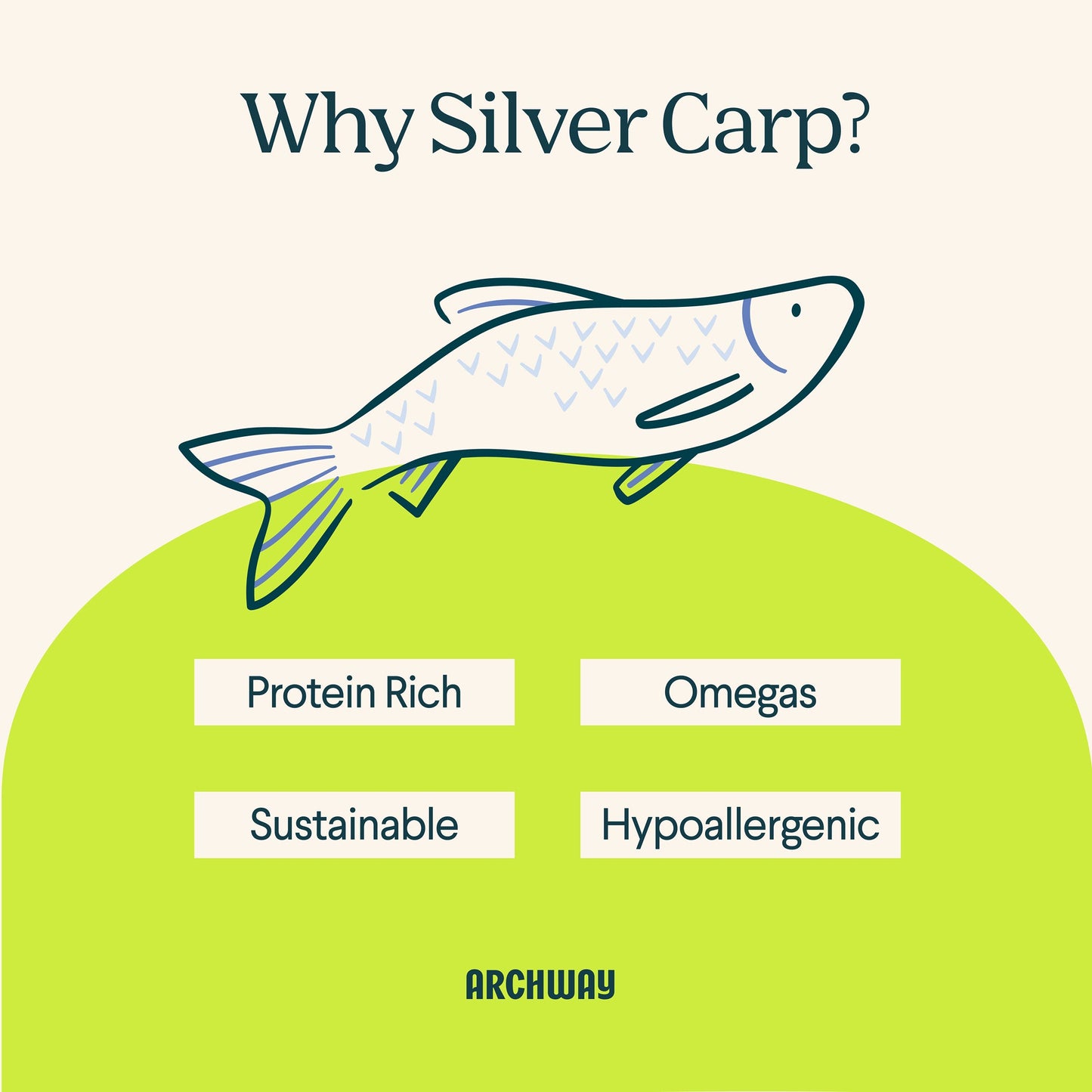 Silver Carp For Dogs - Dog Treats - Arch Pet Food