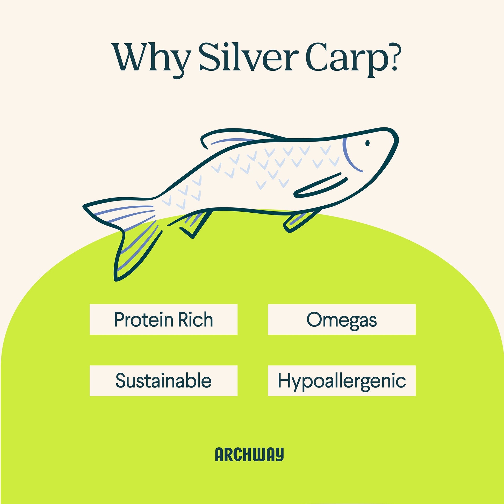 Silver Carp For Dogs - Dog Treats - Arch Pet Food